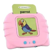 Flash Card Reader Educational Toy