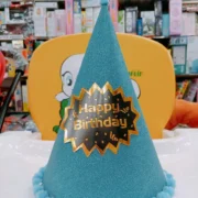 Birthday Party Cap