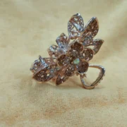 Luxurious & Fashionable Hair Clip