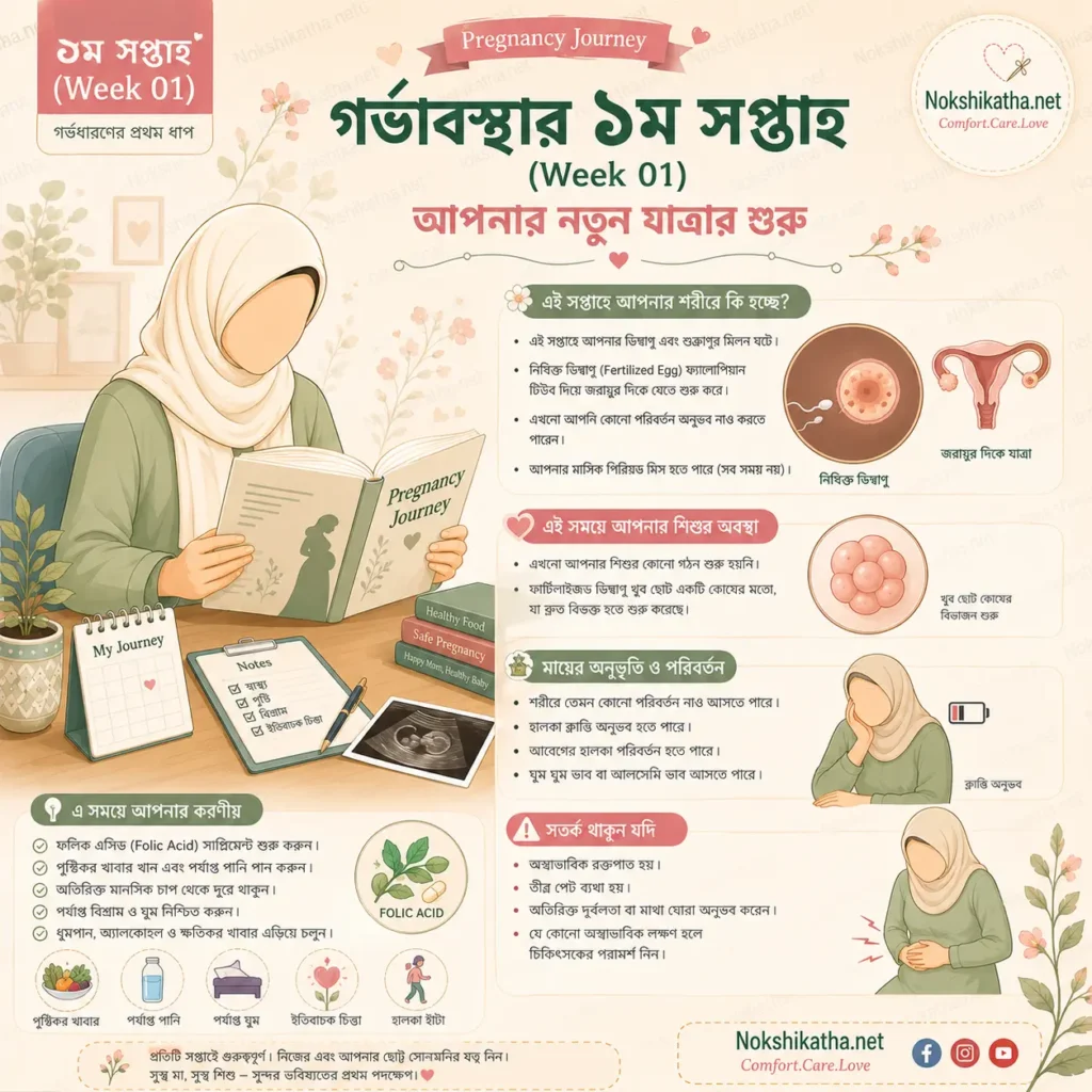 গর্ভাবস্থার ১ম সপ্তাহে কী হয়, প্রথম সপ্তাহের লক্ষণ, শরীরের পরিবর্তন ও Pregnancy Week 1 Guide - Nokshikatha