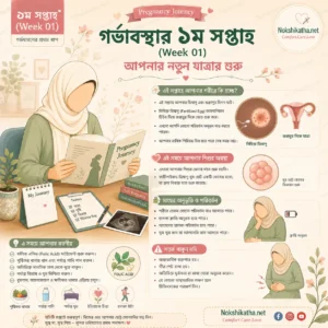 গর্ভাবস্থার ১ম সপ্তাহে কী হয়, প্রথম সপ্তাহের লক্ষণ, শরীরের পরিবর্তন ও Pregnancy Week 1 Guide - Nokshikatha
